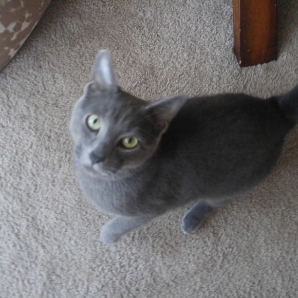 Meet your Posher, Olga - Picture 1 of 1